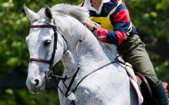 �n�̃y�[�W��