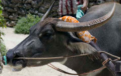 ���̃y�[�W��