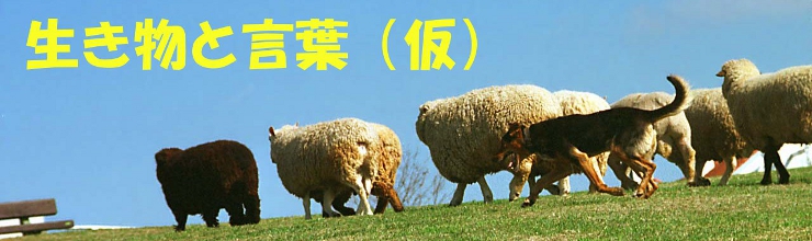 �g�b�v���S2