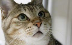 �L�̃y�[�W��