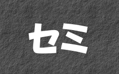 �Z�~�̃y�[�W��