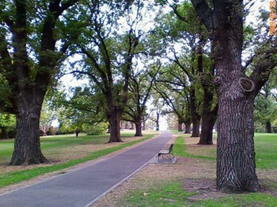 �t�B�b�c���C�E�K�[�f��