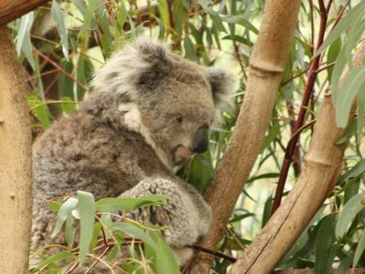 �����{����������