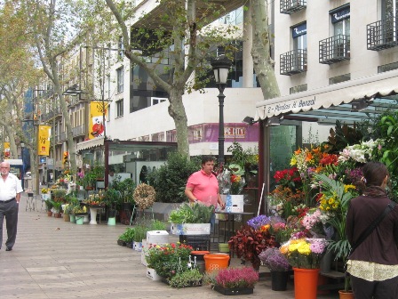 �����u���X�ʂ�