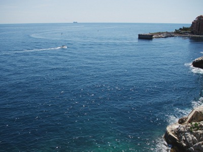 �j�[�X�C��