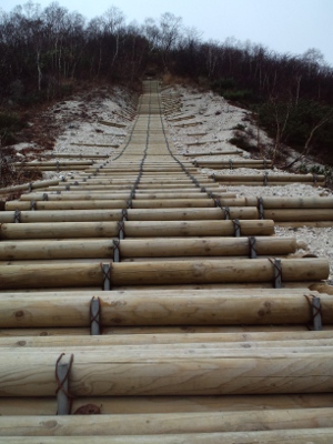 �C���I�k�v���o����K�i