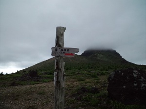 ��P�x�n�̔w���