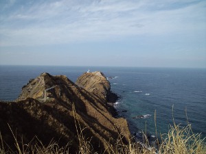 �ϒO���̐_�Ж�