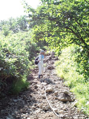 �����ʊx�̓o�R��