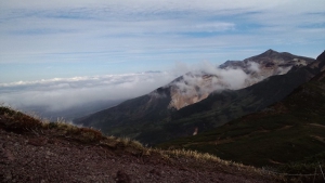 �x�ǖ�x�R���t�߂��