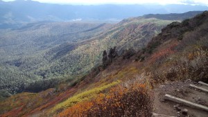 ���x�X���ڂ܂˂���