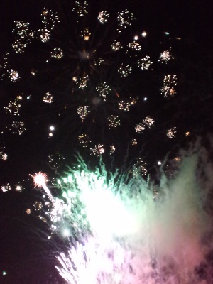 �ǂ�ς��ԉ�